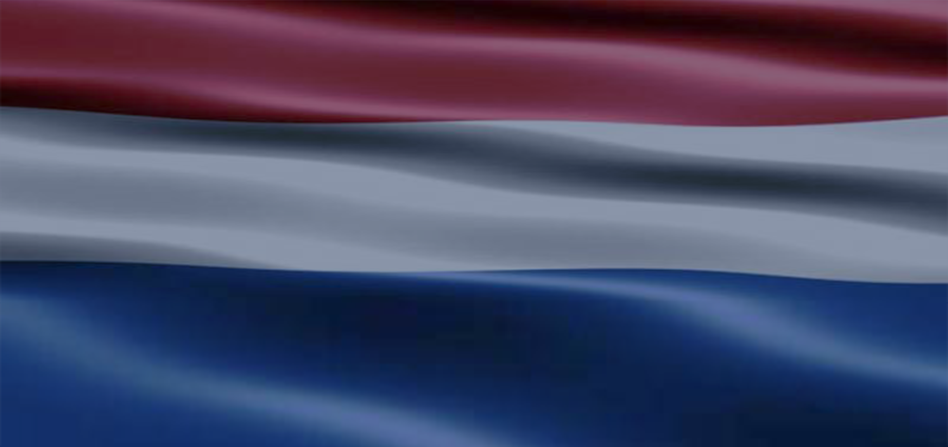 vlag1